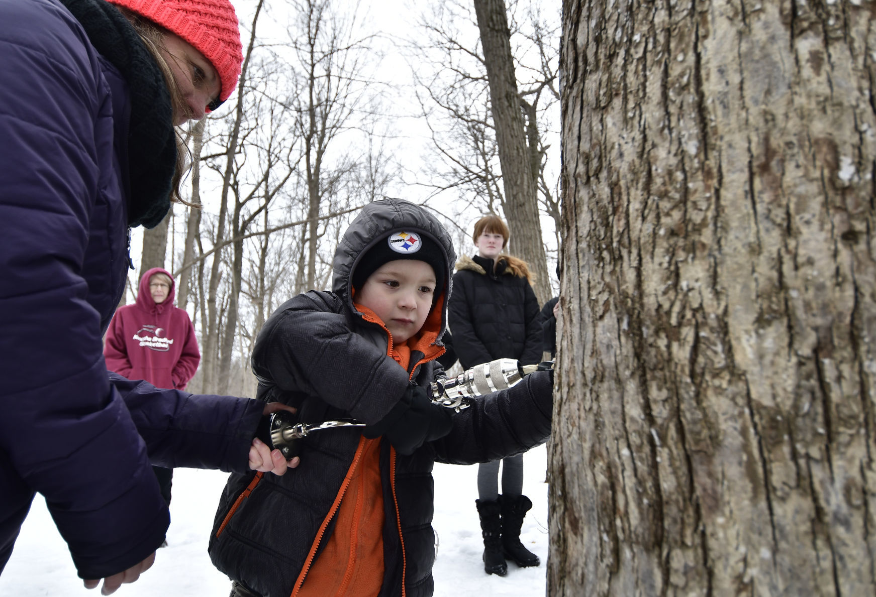 SUGAR MAPLE HIKE - A1